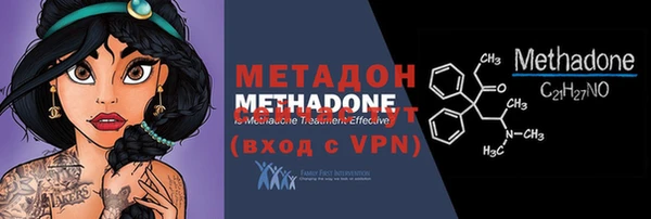 прущие грибы Магадан