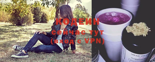 крисы Великий Новгород