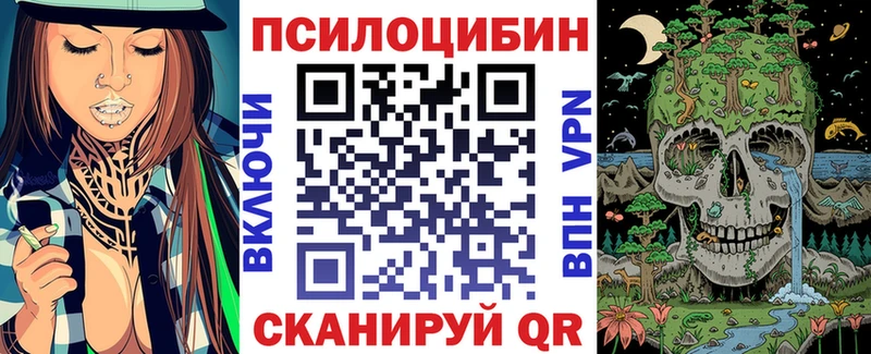 наркотики  Мосальск  Псилоцибиновые грибы Psilocybe 