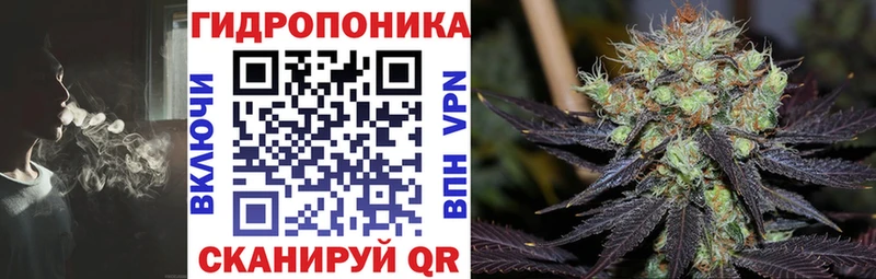 МАРИХУАНА план Мосальск